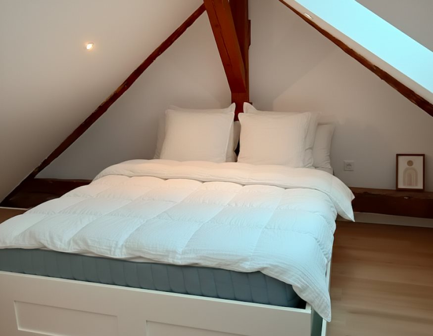 Appartement à louer, 40m², Bezannes