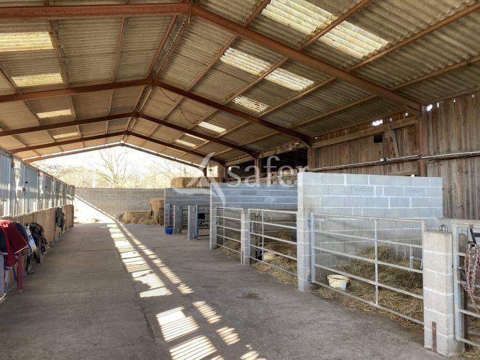 Appartement à vendre, 250m², Randan