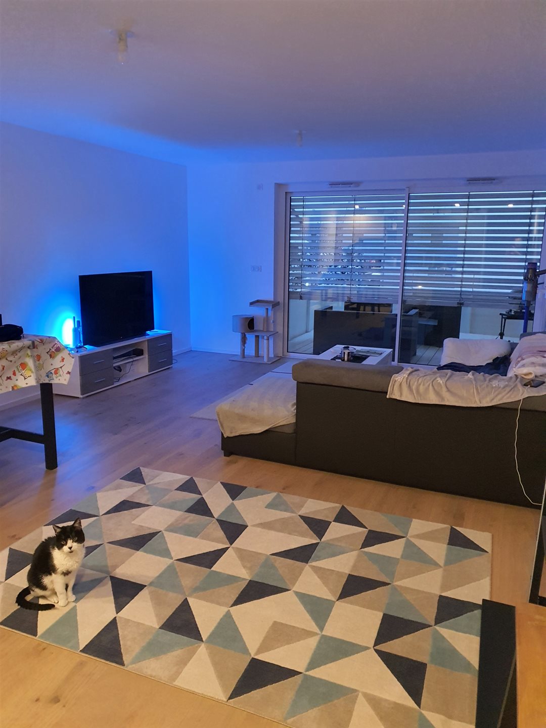 Appartement à louer, 79m², Hésingue