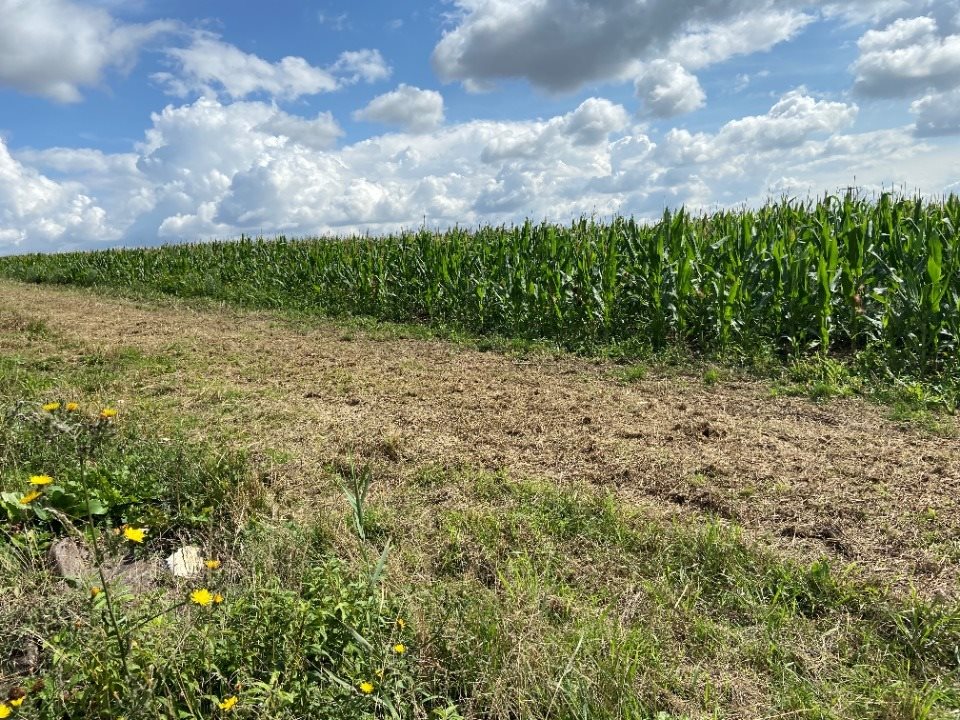Maison à vendre, 115m², Athies