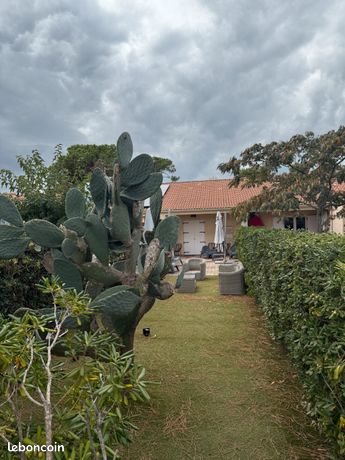 Maison à vendre, 37m², Furiani