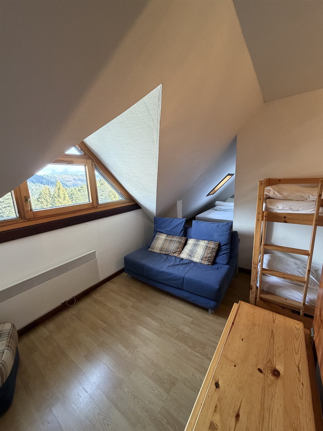 Appartement à vendre, 19m², Laveissière