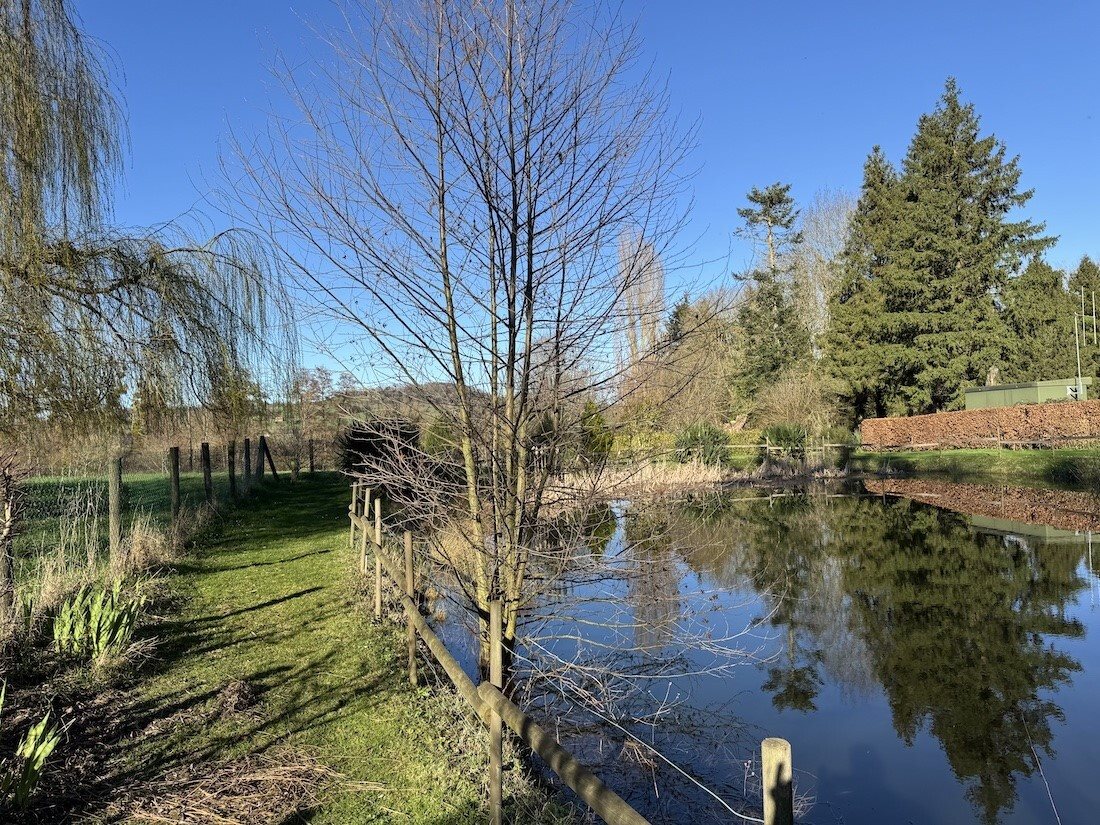 Maison à vendre, 262m², Livarot