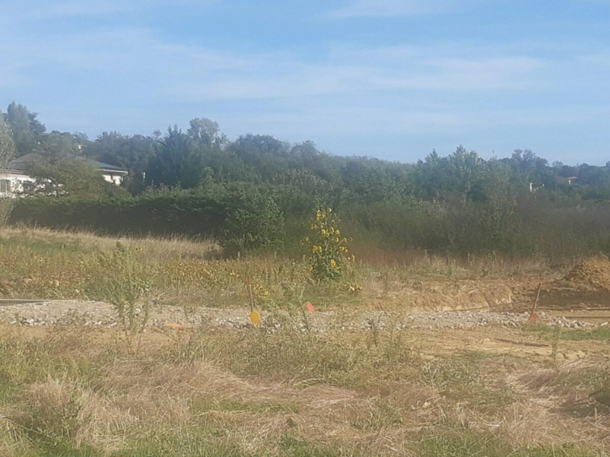 Maison à vendre, 95m², Toulouse