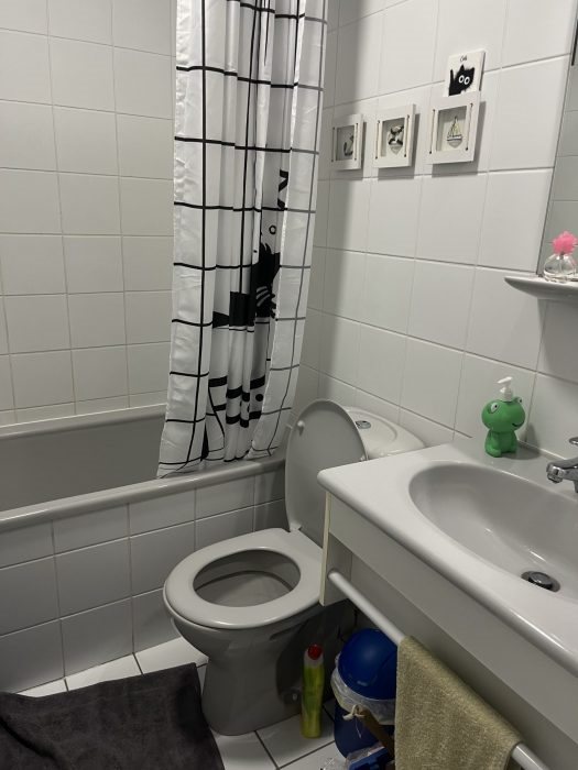 Appartement à vendre, 32m², Strasbourg