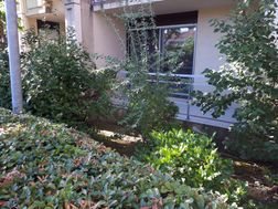 Appartement à louer, 33m², Montpellier