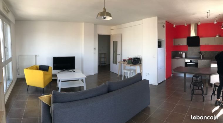 Appartement à louer, 50m², Lyon 7ème