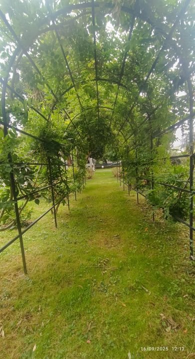 Appartement à louer, 33m², Billère