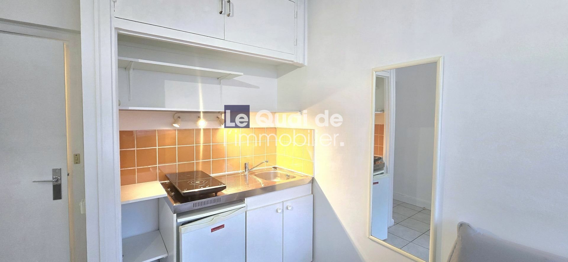 Appartement à vendre, 14m², Grenoble