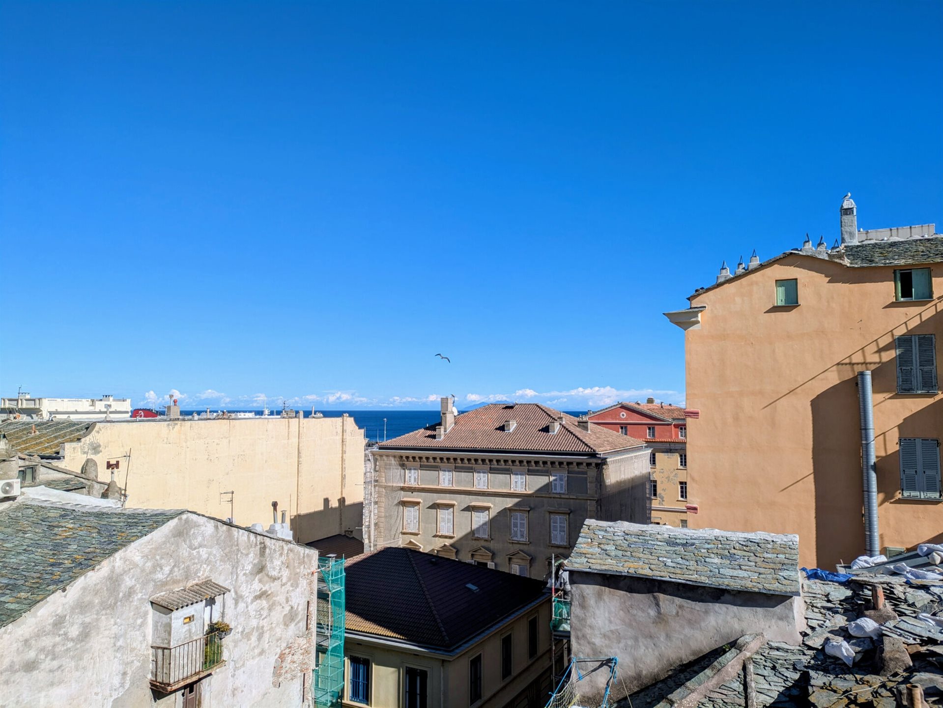 Appartement à louer, 47m², Bastia