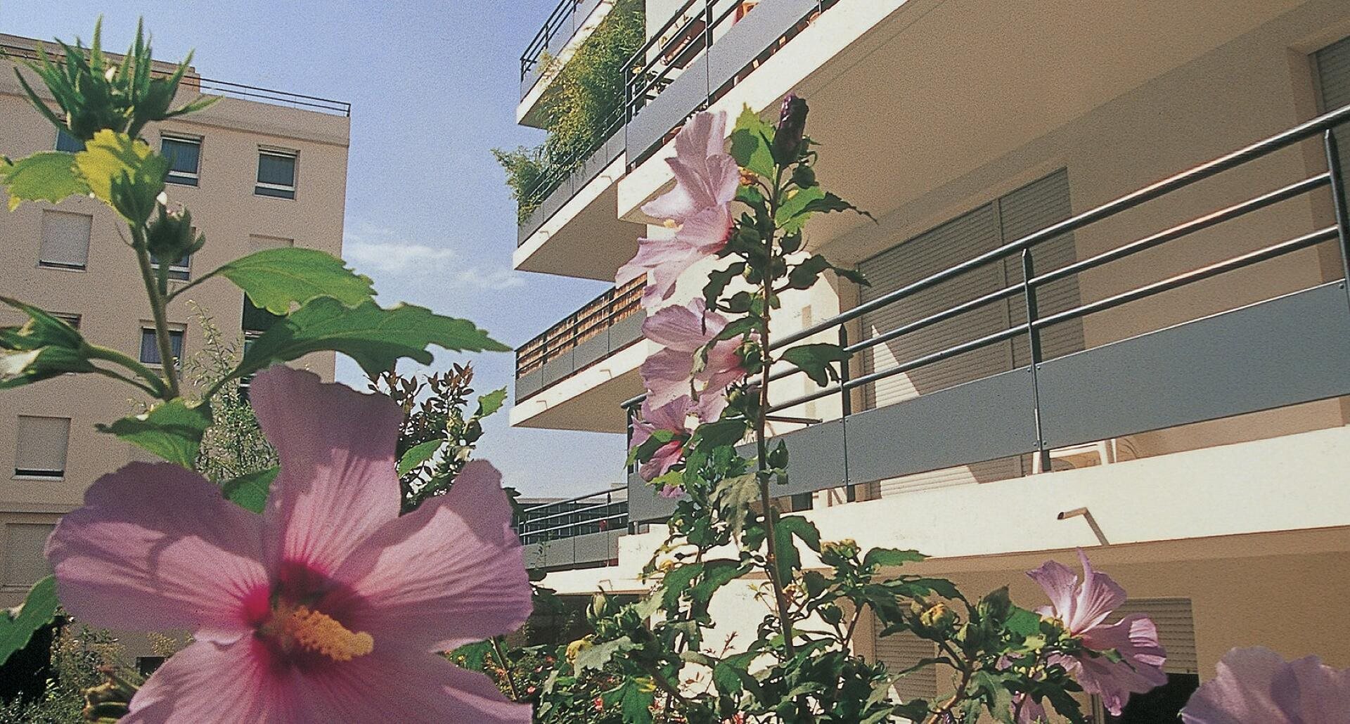 Appartement à louer, 43m², Lyon 7ème