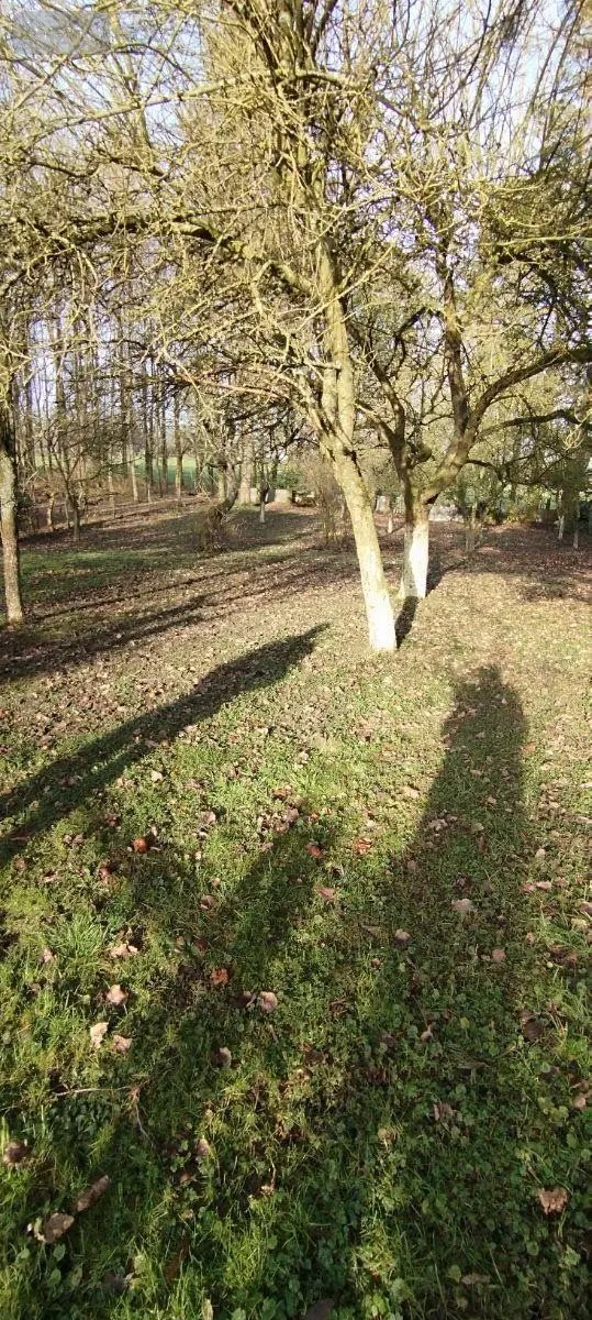 Maison à vendre, 82m², Lemé