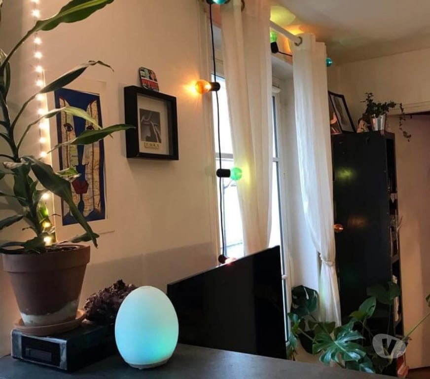 Appartement à louer, 30m², Lille