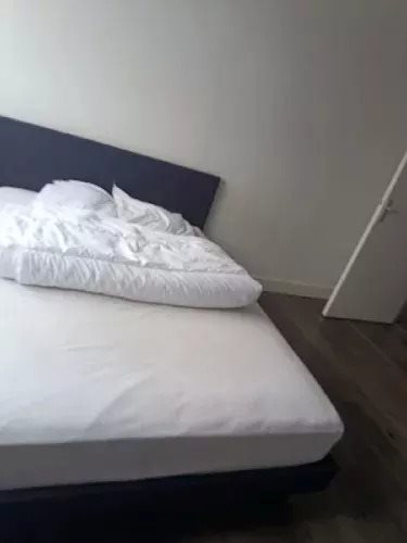 Appartement à louer, 34m², Saran
