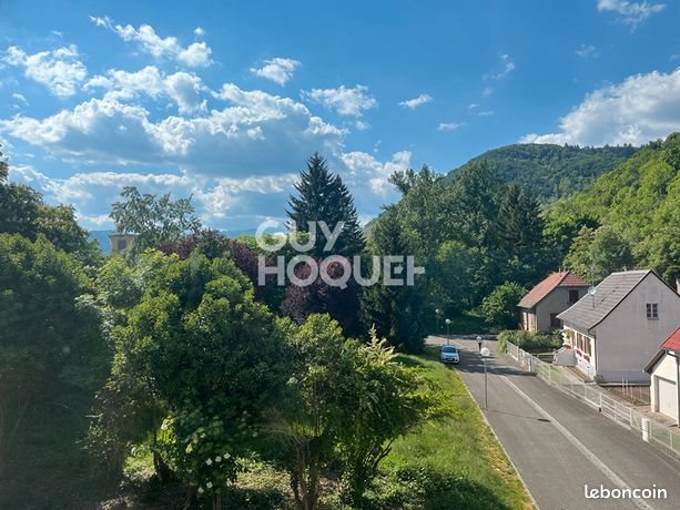 Appartement à vendre, 50m², Vieux-Thann