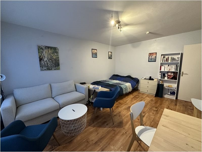 Appartement à louer, 31m², Lille
