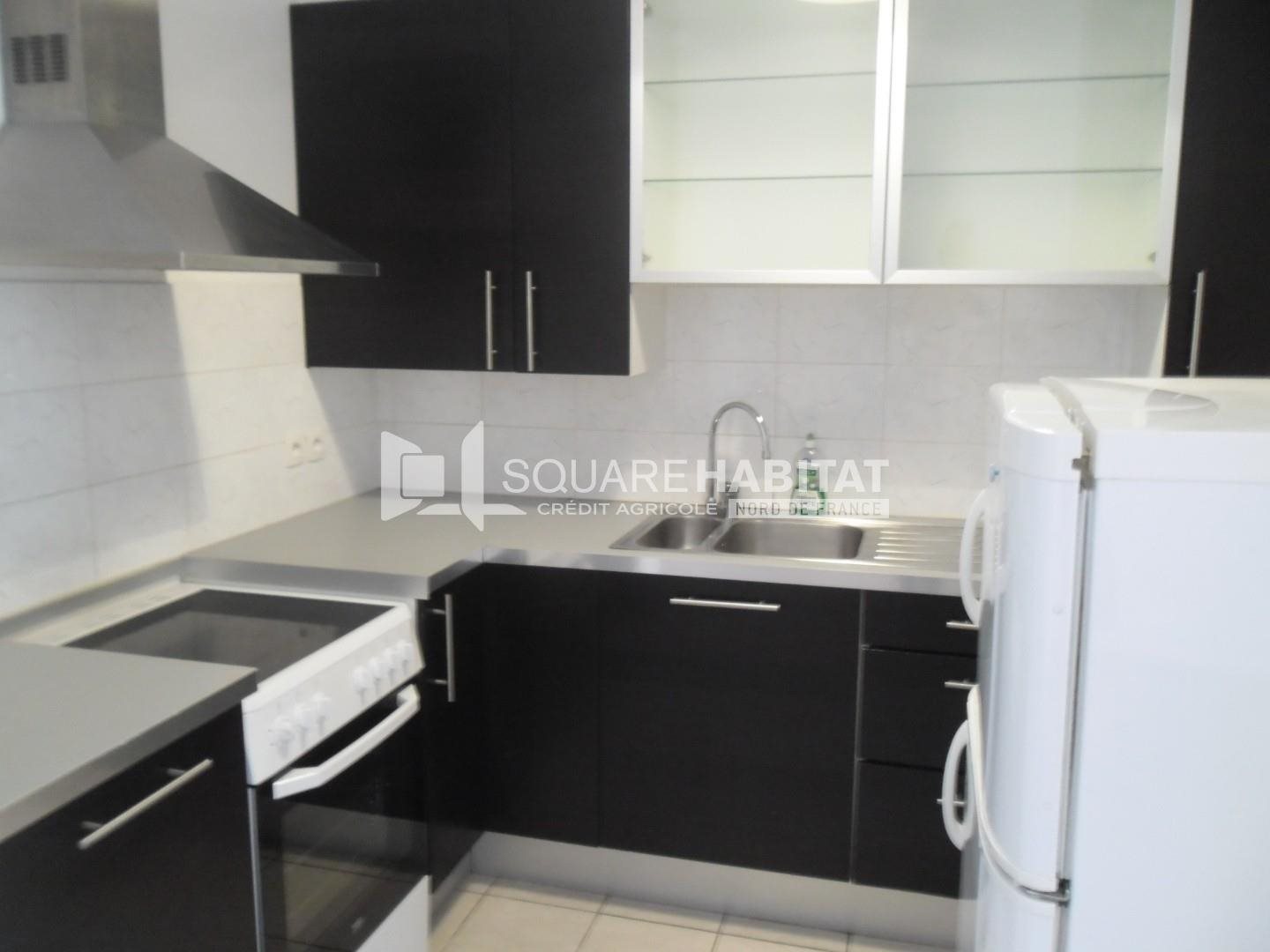 Appartement à louer, 53m², Lille