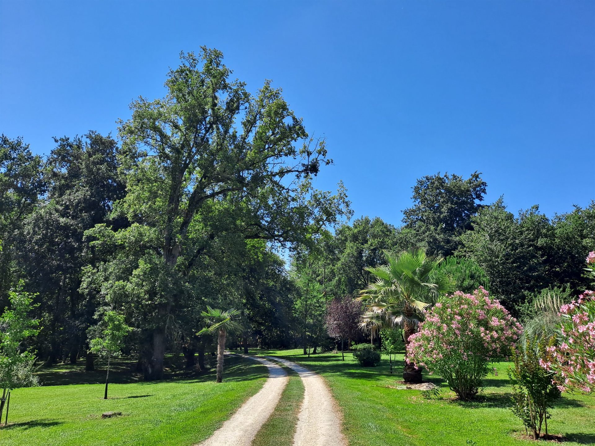 Maison à vendre, 520m², Condom