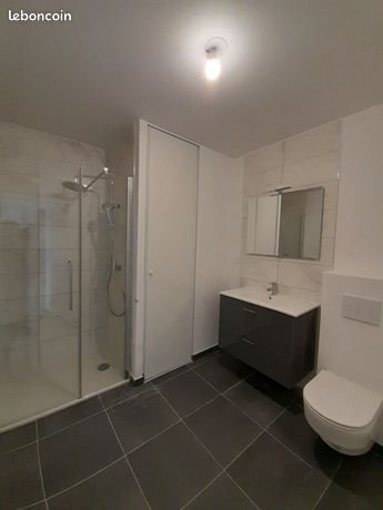 Appartement à louer, 40m², Angers