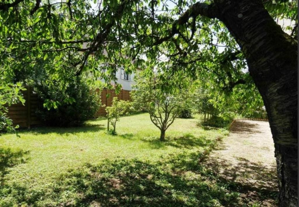 Maison à louer, 80m², Châtenoy-le-Royal