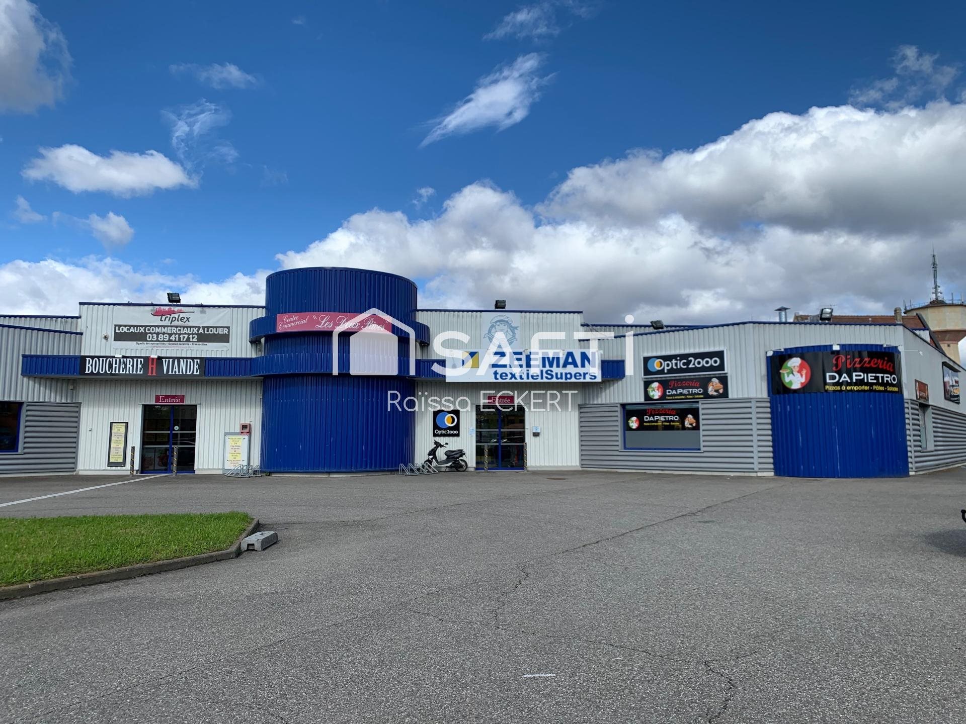 Maison à louer, 392m², Volgelsheim