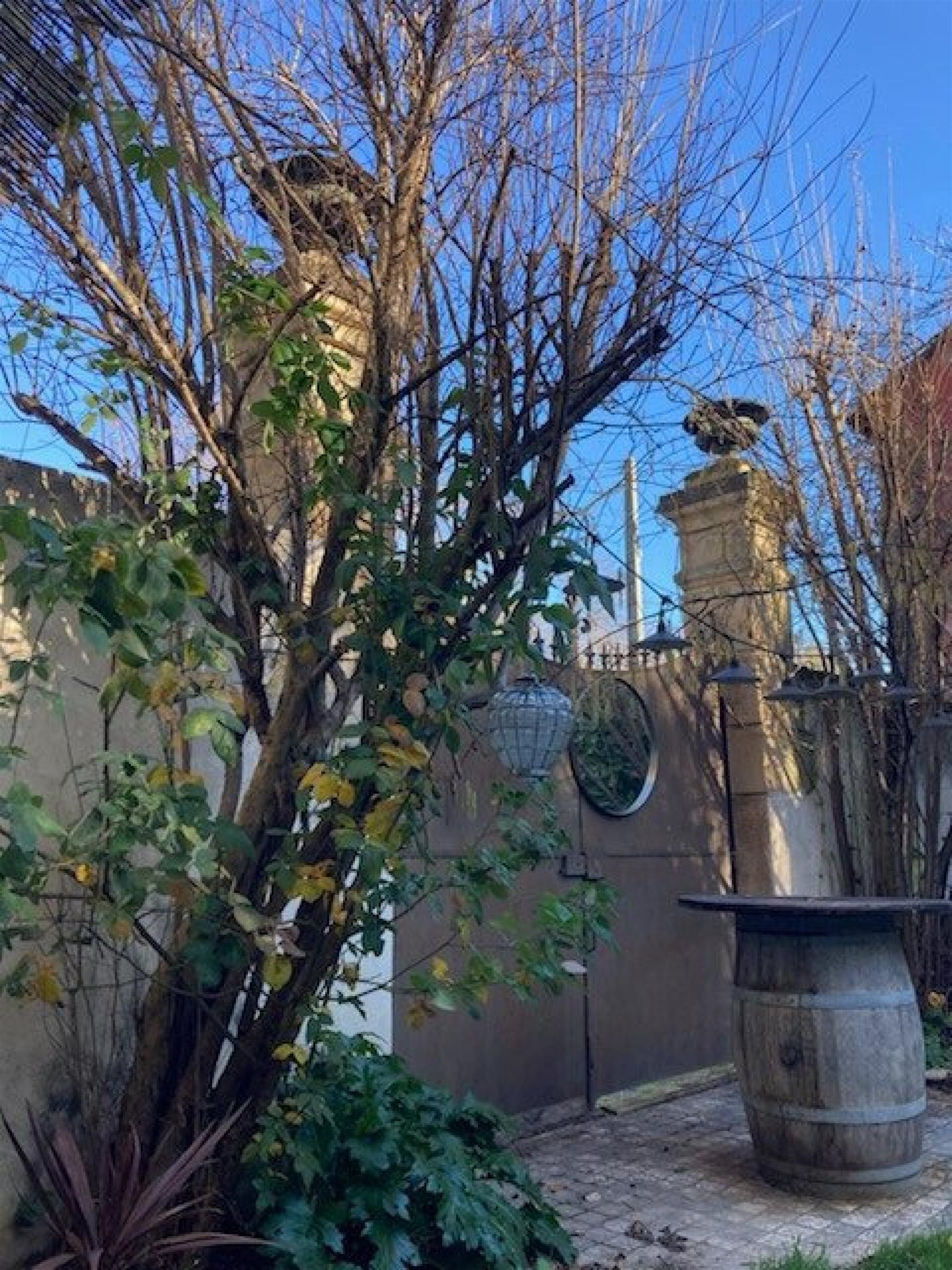 Maison à vendre, 290m², La Roque-d'Anthéron