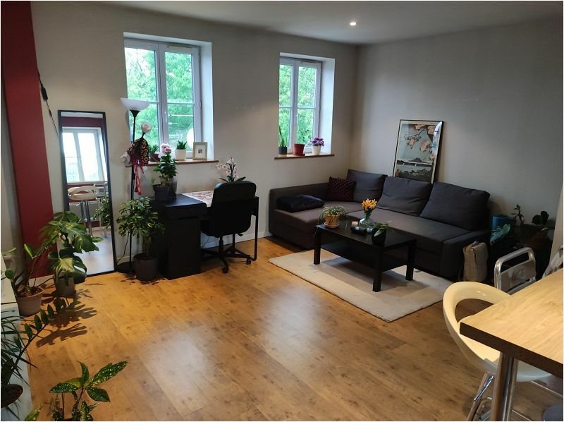 Appartement à louer, 49m², Lille