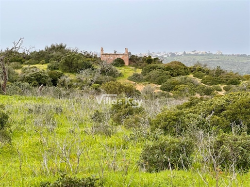 Land/Farm, with 27440mts2 and ruin to rebuild Lagos/Algarve.
