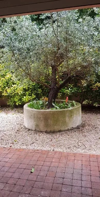 Appartement à louer, 59m², Montpellier