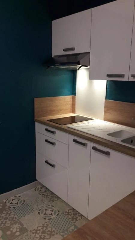 Appartement à louer, 35m², Grenoble