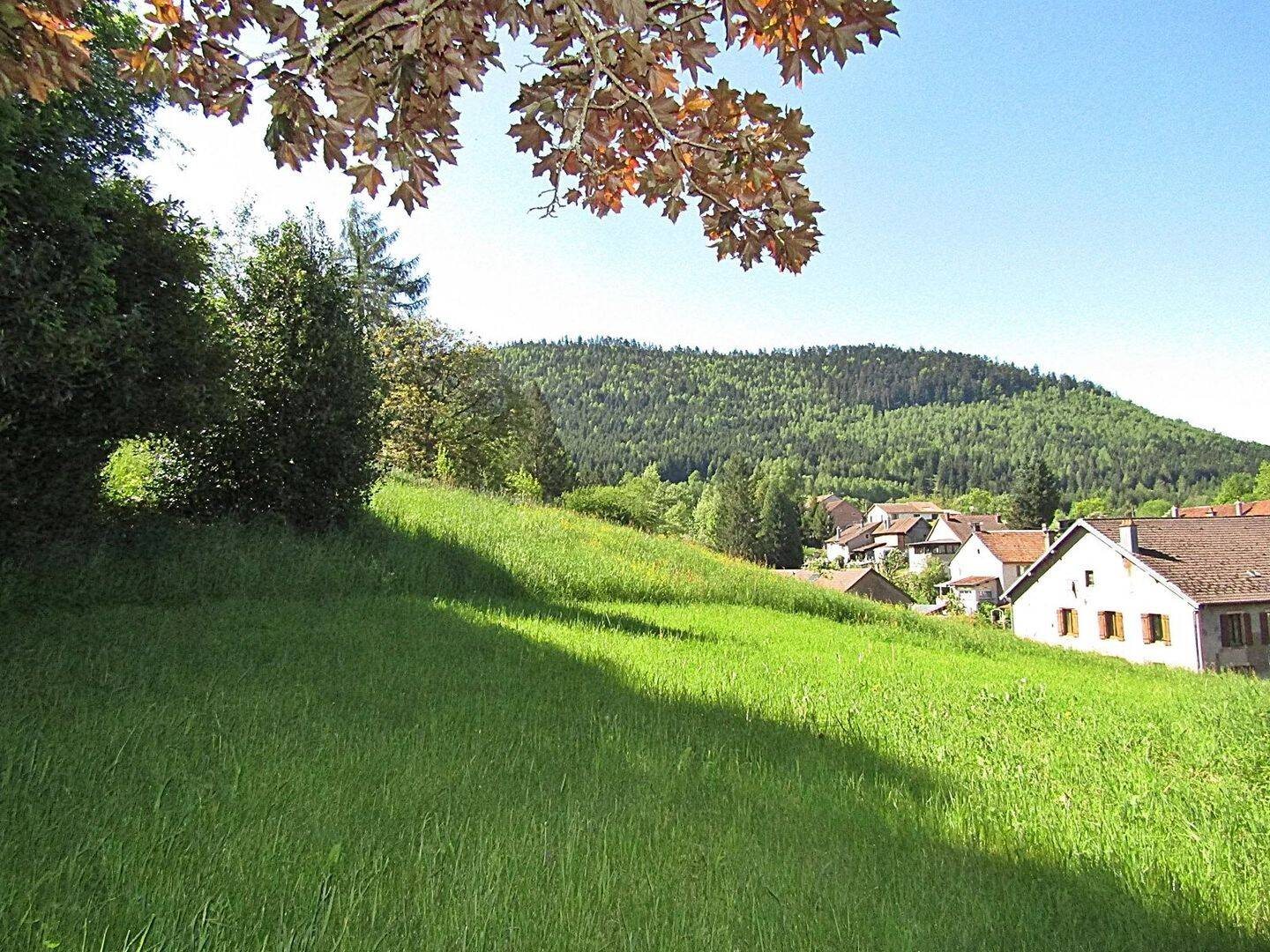 Maison à vendre, 200m², Luvigny