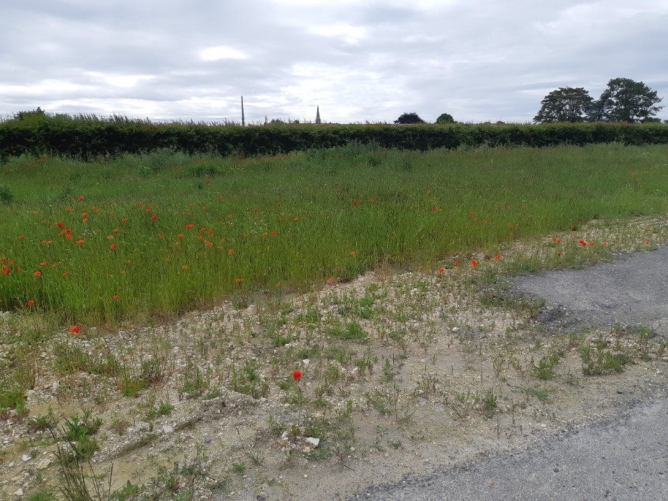 Maison à vendre, 80m², Mazingarbe