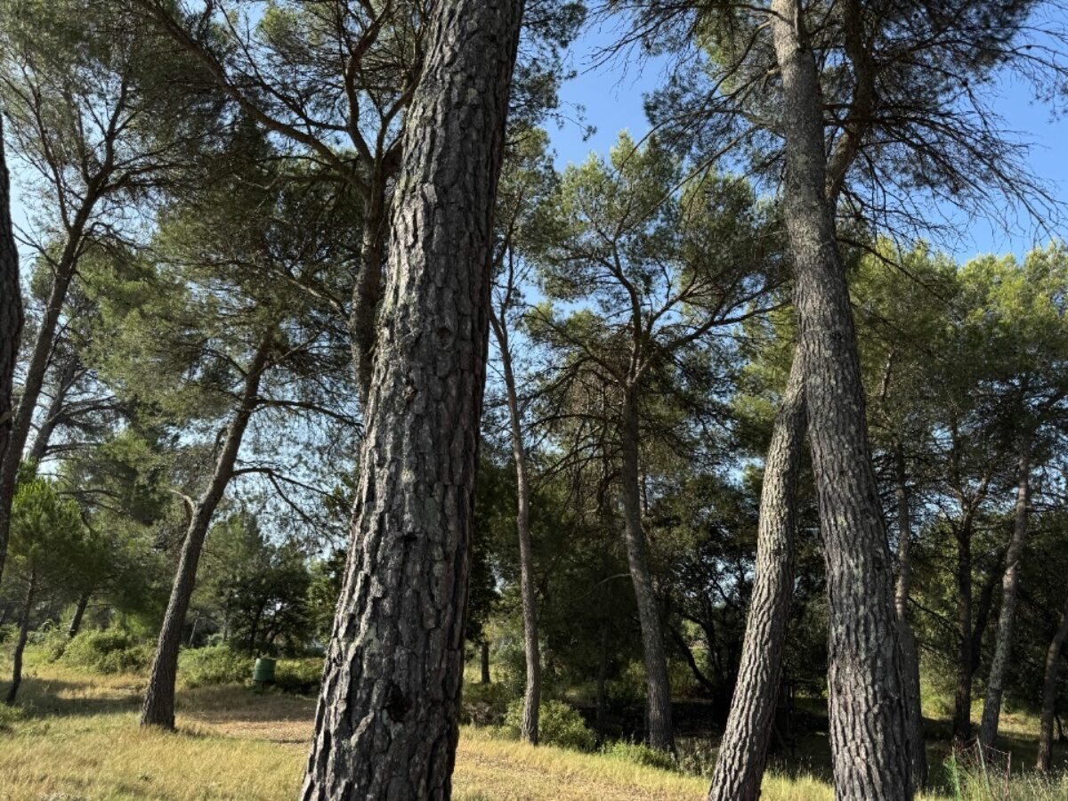 Maison à vendre, 114m², Guzargues