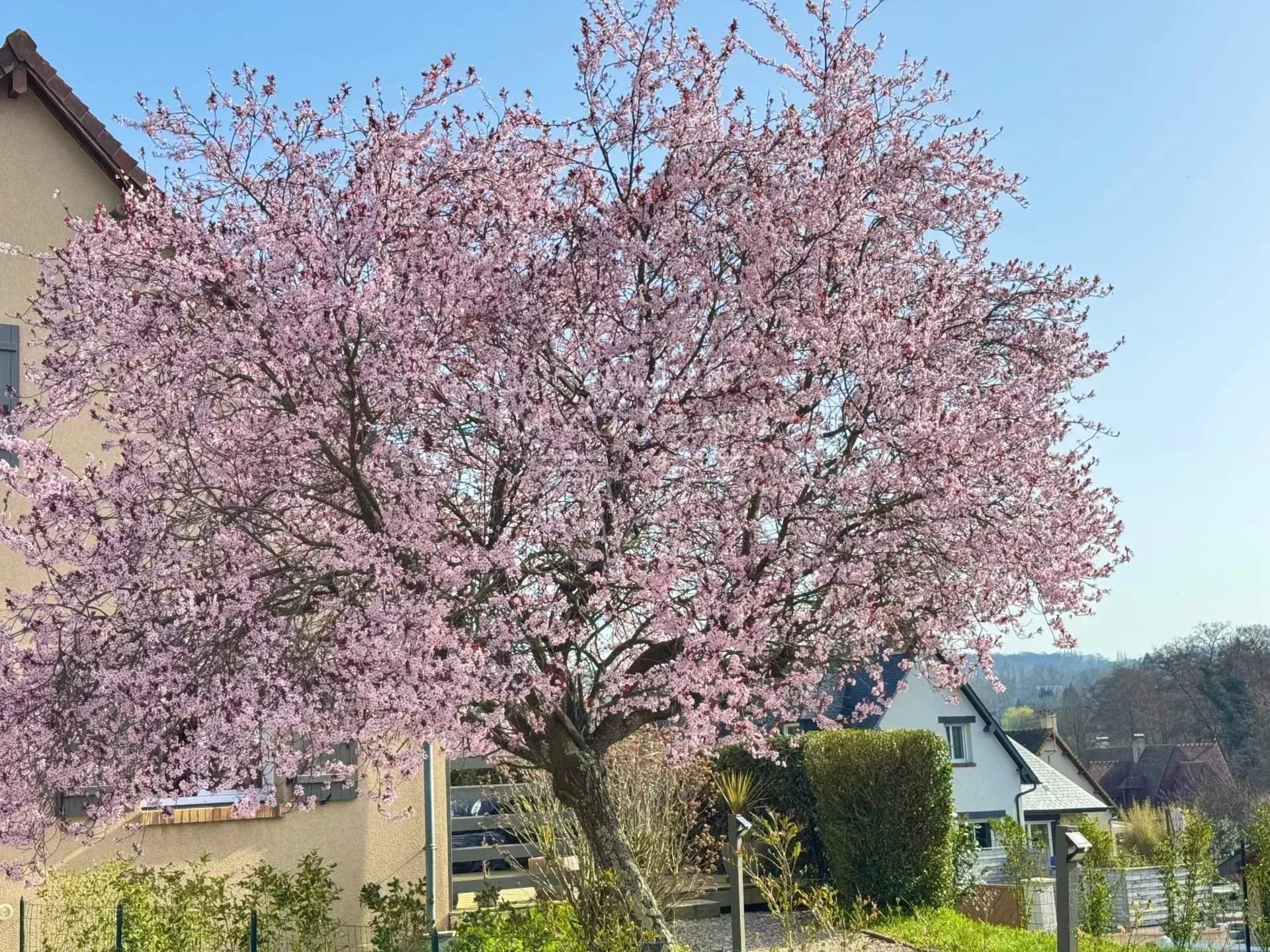 Maison à vendre, 114m², Touques
