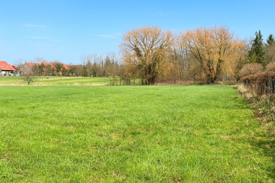 Maison à vendre, 115m², Tourmignies