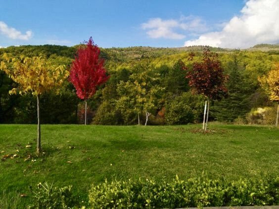 Maison à vendre, 172m², Noyers-sur-Jabron