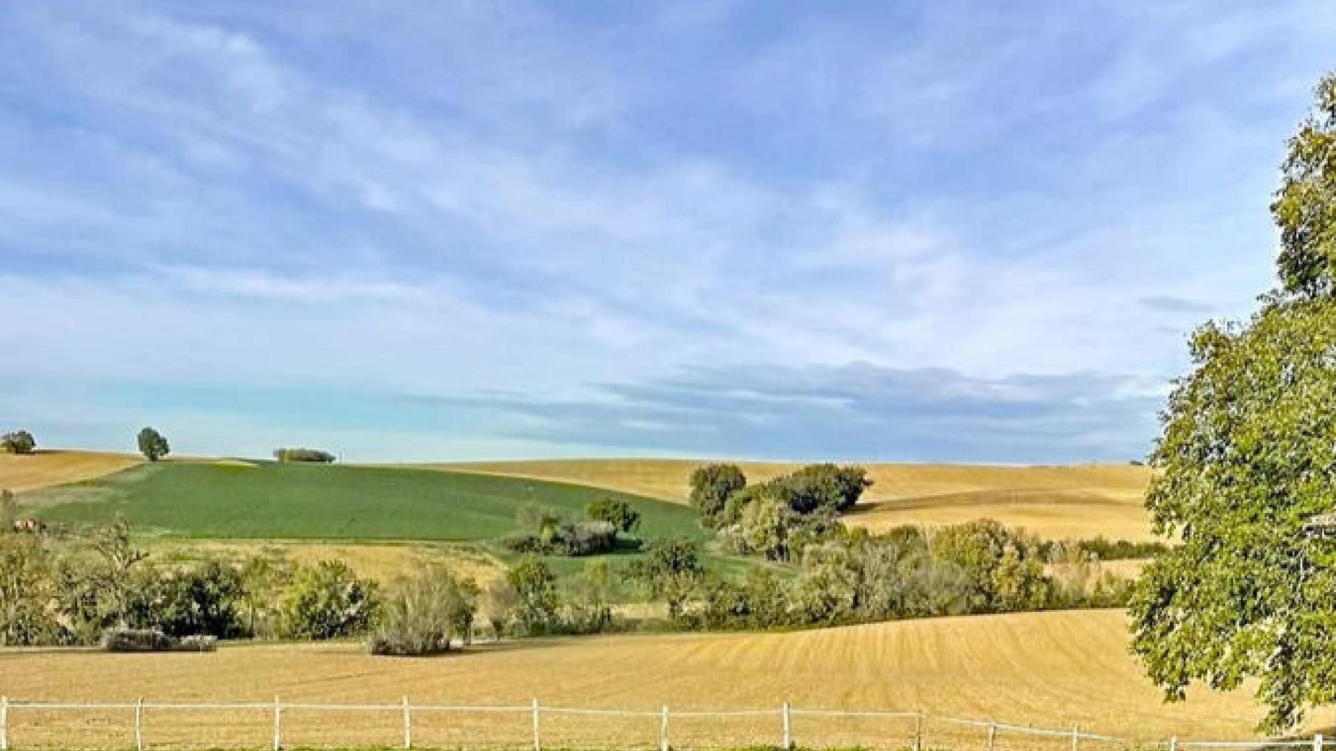 Proche Condom - Maison de campagne secteur Castera-Verduzan sur