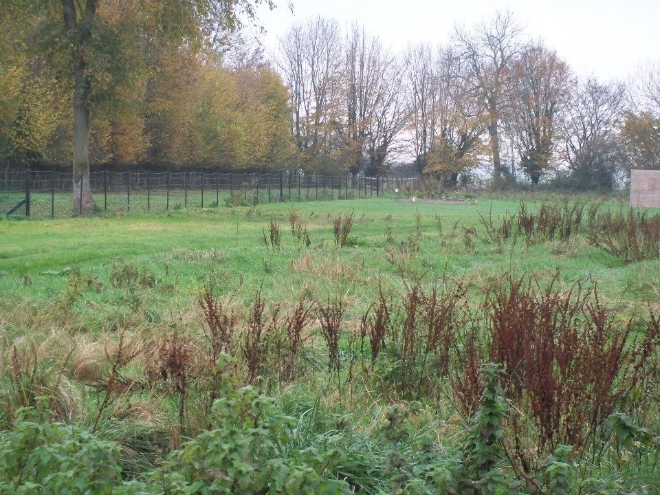 Maison à vendre, 85m², Breteuil