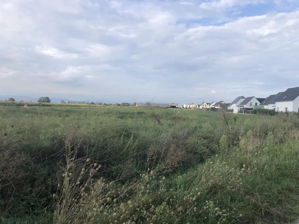 Maison à vendre, 70m², Rouffach