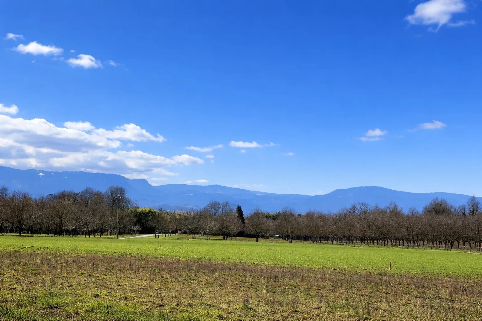 Maison à vendre, 235m², Saint-Vérand