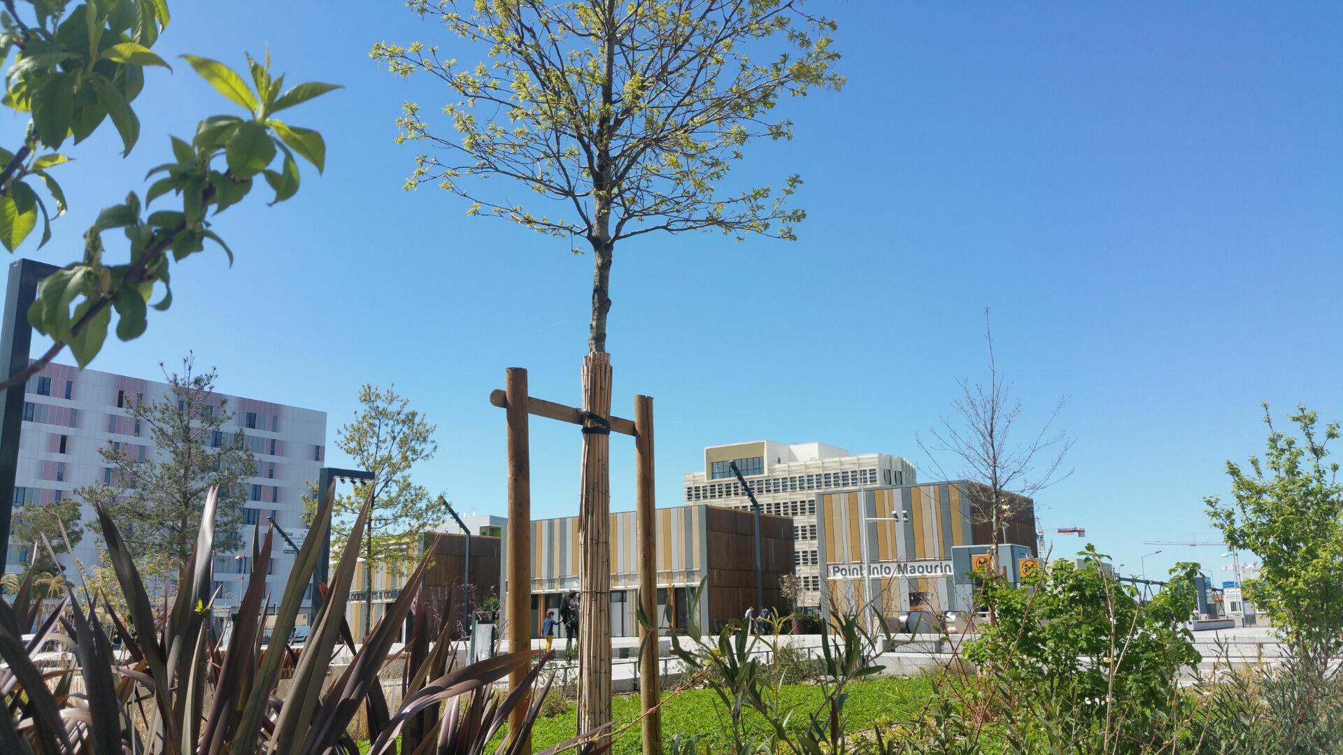 Appartement à vendre, 56m², Toulouse