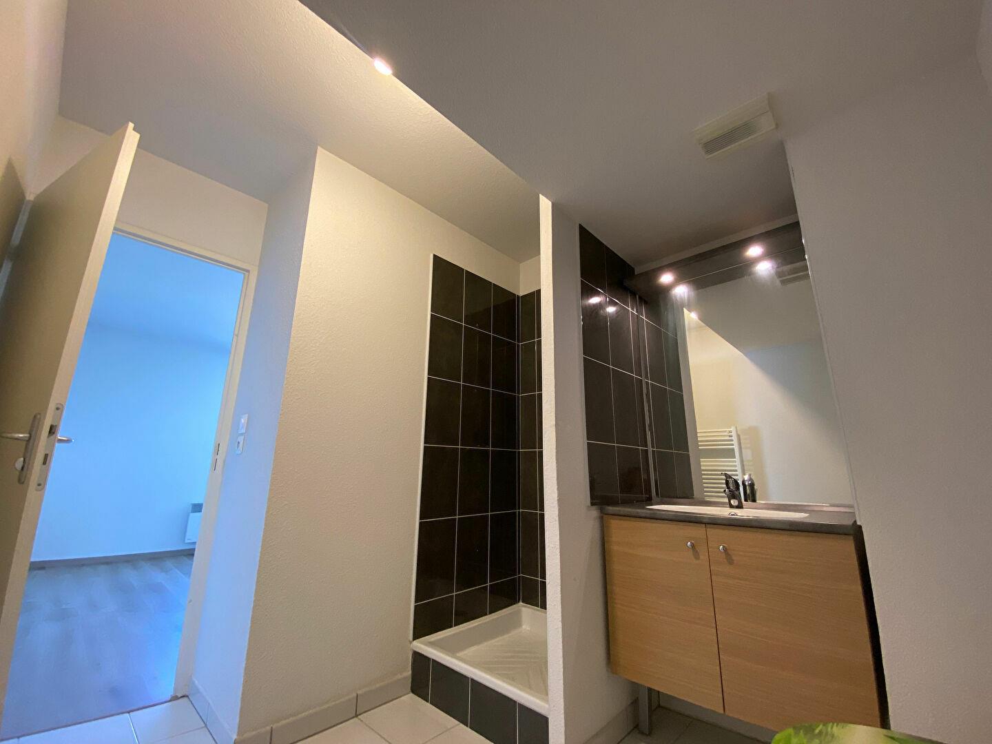 Appartement à vendre, 40m², Toulouse