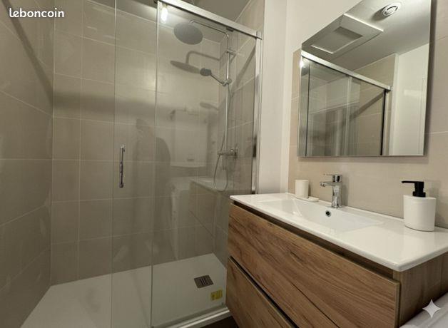 Appartement à louer, 43m², Lille