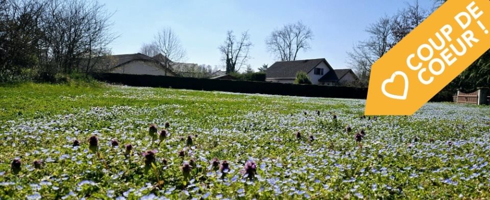 Maison à vendre, 101m², Poisy