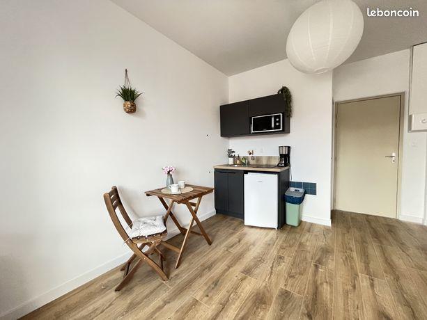 Appartement à louer, 20m², Saint-Etienne