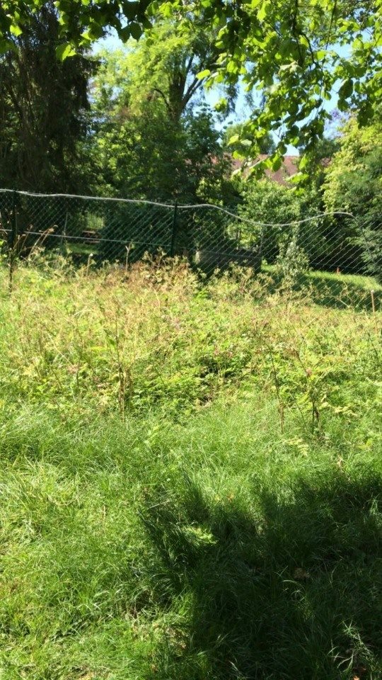 Maison à vendre, 89m², Serris