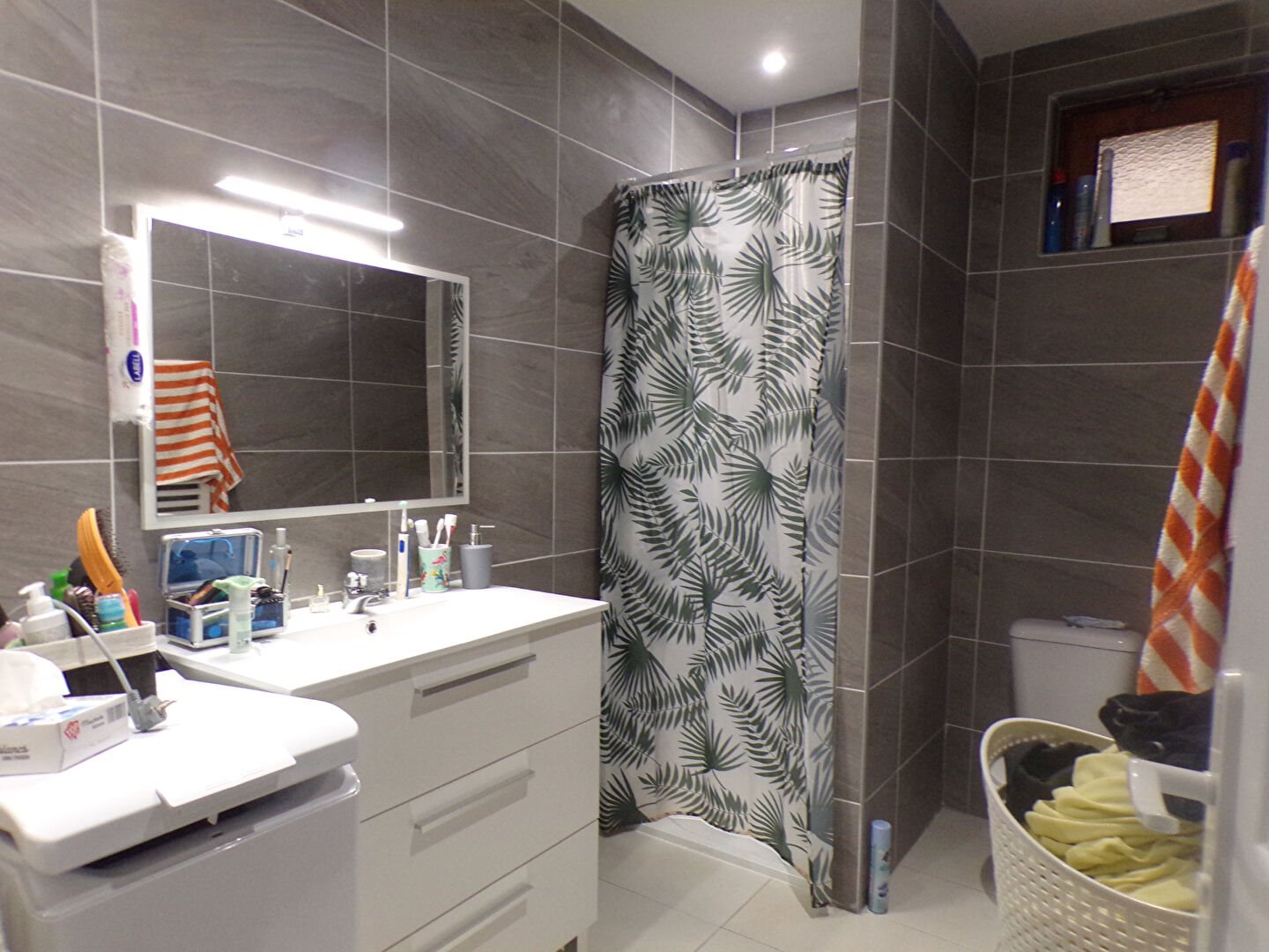 Appartement à louer, 54m², Saint-Sever