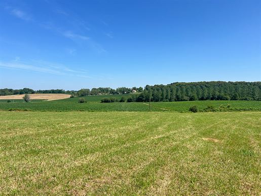Advert pic 0