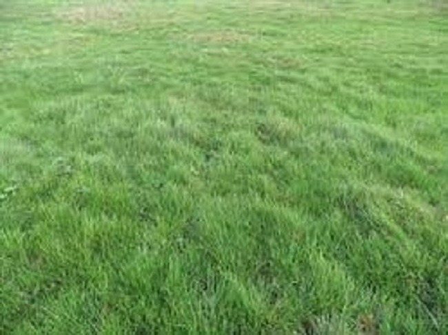 Maison à vendre, 90m², Ballainvilliers