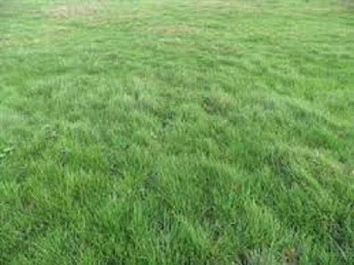 Maison à vendre, 75m², Everly